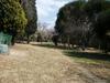  Property For Sale in Buccleuch, Sandton